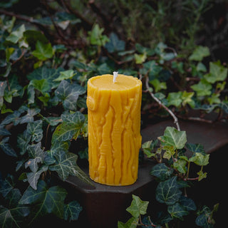 Bark Beeswax Pillar Candle