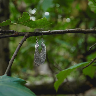 Sycamore Earrings