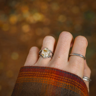 Golden Sapling - Size UK L/US 6