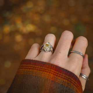 Golden Sapling - Size UK L/US 6
