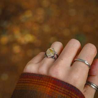 Golden Sapling - Size UK L/US 6