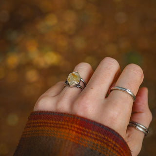 Golden Sapling - Size UK L/US 6