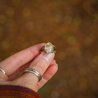 Golden Sapling - Made-To-Order