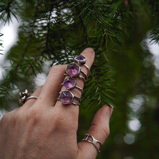 Winter Magic Sapling - Size UK L/US 6