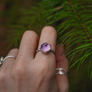 Winter Magic Sapling - Size UK O/US 7.5