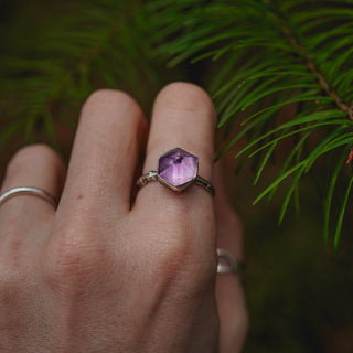 Winter Magic Sapling - Size UK O/US 7.5