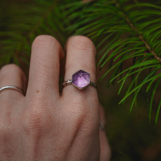 Winter Magic Sapling - Size UK O/US 7.5