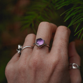 Winter Magic Sapling - Size UK L/US 6