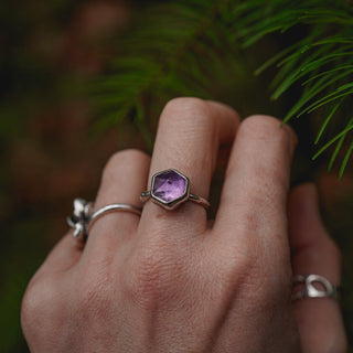 Winter Magic Sapling - Size UK L/US 6