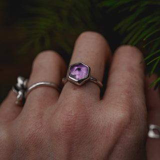 Winter Magic Sapling - Size UK L/US 6