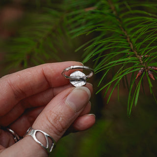 Winter Magic Sapling - Size UK L/US 6