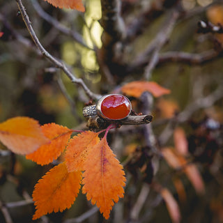 Autumn Glow Ring - UK Q/US 8.5