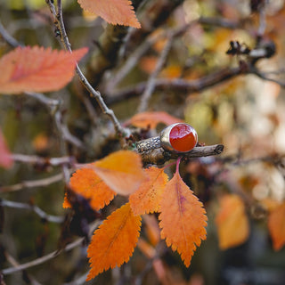 Autumn Glow Ring - UK Q/US 8.5