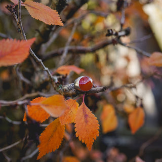 Autumn Glow Ring - UK Q/US 8.5