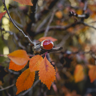 Autumn Glow Ring - UK Q/US 8.5
