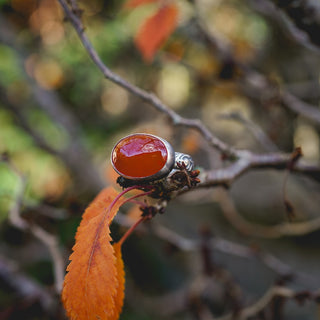 Autumn Glow Ring - UK Q/US 8.5