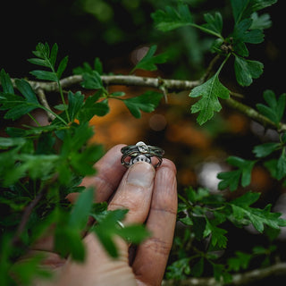 Summer Eves Sapling - Size UK N/US 7