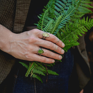Summer Eves Sapling - Size UK N/US 7