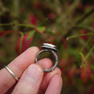 Amber Sapling - UK L/US 6