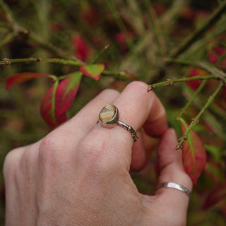 Golden Sapling - Size UK R/US 9