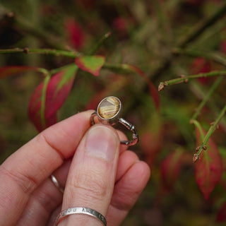 Golden Sapling - Size UK R/US 9