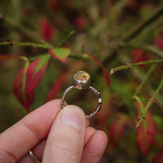 Golden Sapling - Size UK R/US 9