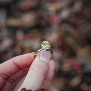 Golden Sapling - Size UK R/US 9