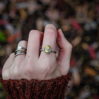 Golden Sapling - Size UK R/US 9