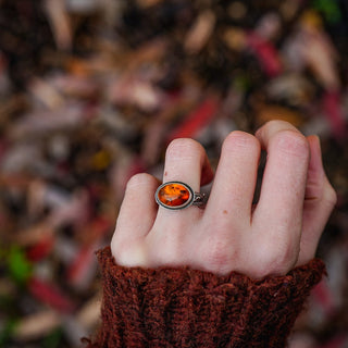 Amber Sapling - UK L/US 6