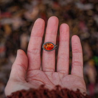 Amber Sapling - UK L/US 6