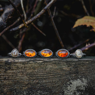 Amber Sapling - UK L/US 6