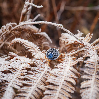Winter Pod Ring - Size UK N/US 7
