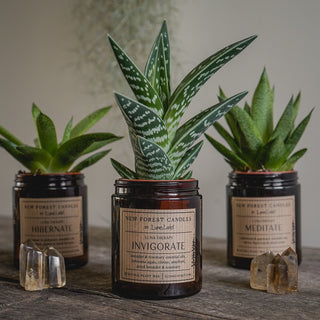 Positivity Soy Candle