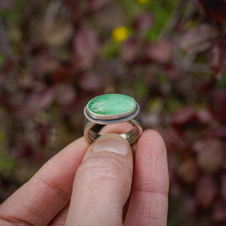 Spring Sapling Size UK Q/US 8.5