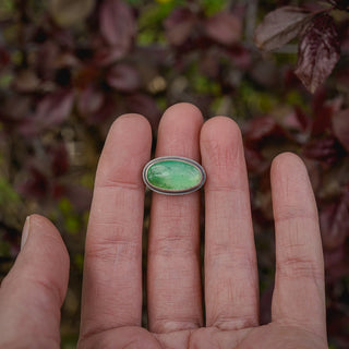 Spring Sapling Size UK Q/US 8.5