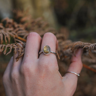 Golden Sapling - Size UK R/US 9