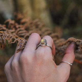 Golden Sapling - Size UK R/US 9
