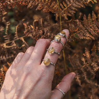 Golden Sapling - Size UK R/US 9